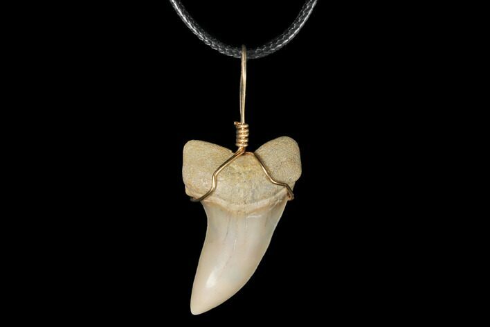 Fossil Mako Tooth Necklace - Bakersfield, California #130868